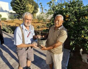 Dirndlstrauch Übergabe Tunesien