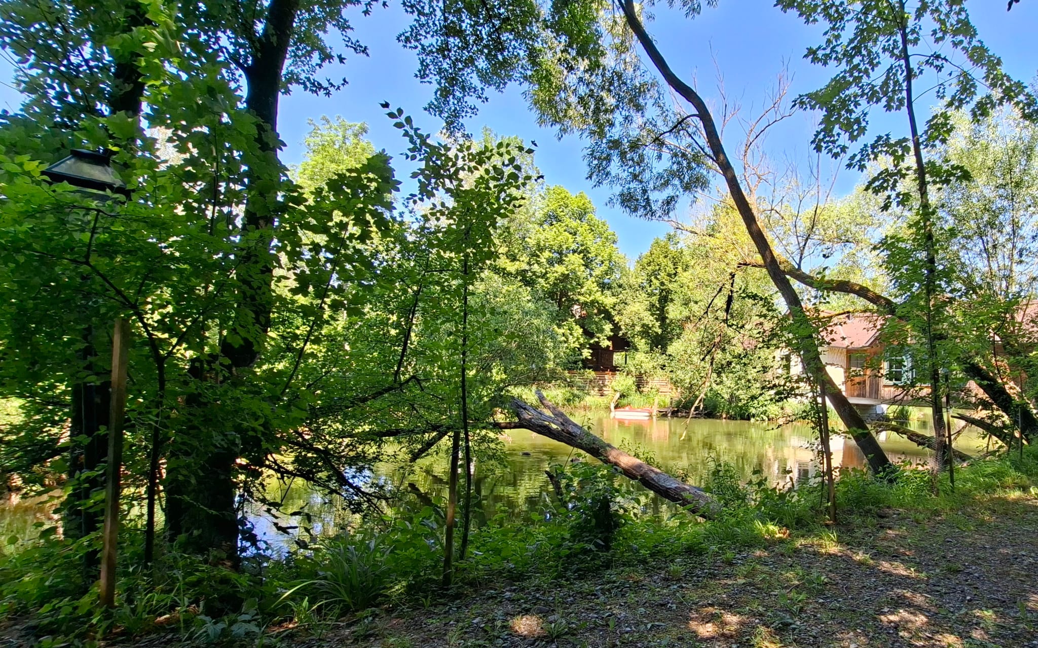 Natur mit Struktur am Steinschaler Teich