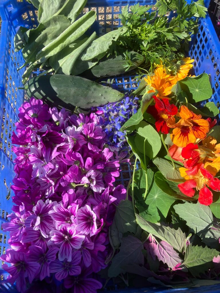 Bunte Ernte mit Blüten